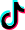 tiktok icon